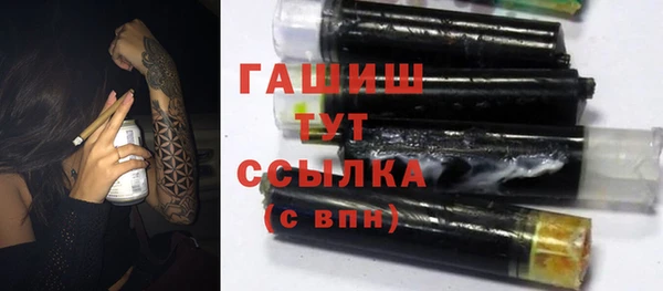 стаф Осинники