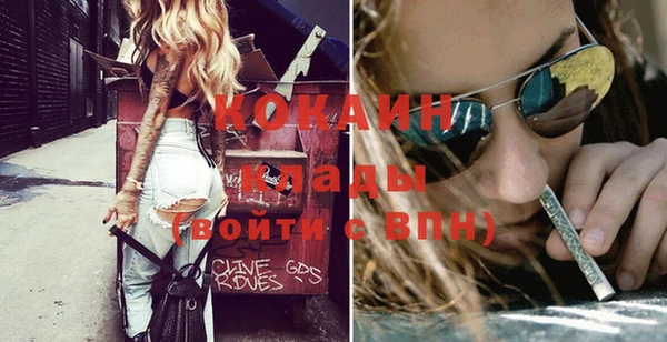 стаф Осинники