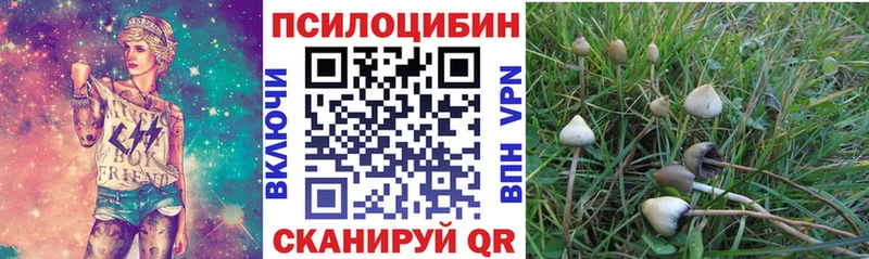 Псилоцибиновые грибы ЛСД  Купить закладки  Динская 